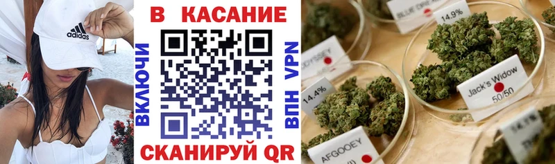 Где купить наркоту Новочеркасск Амфетамин  Меф  ГЕРОИН  Каннабис  Галлюциногенные грибы 