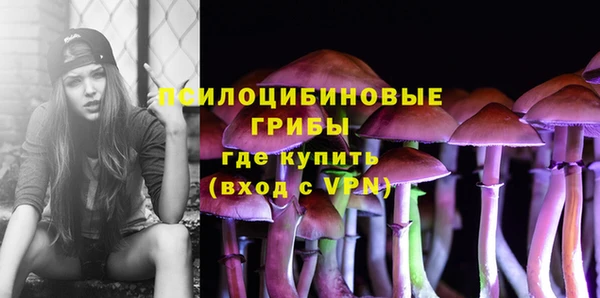 ПСИЛОЦИБИНОВЫЕ ГРИБЫ Абдулино