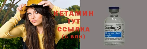 индика Надым