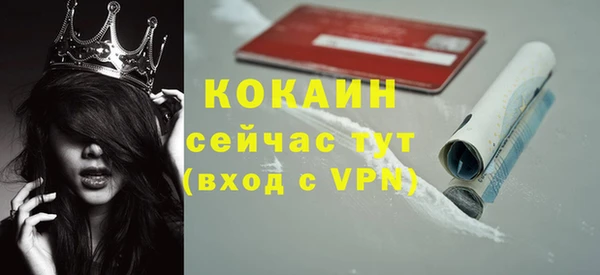 индика Надым