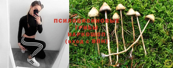 ПСИЛОЦИБИНОВЫЕ ГРИБЫ Абдулино